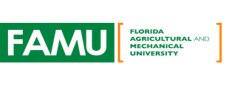 FAMU Florida A&M University Logo