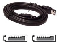 SIIG Serial ATA external cable - 3.3 ft