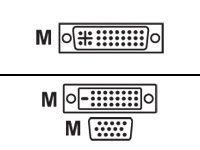 Wyse DVI splitter