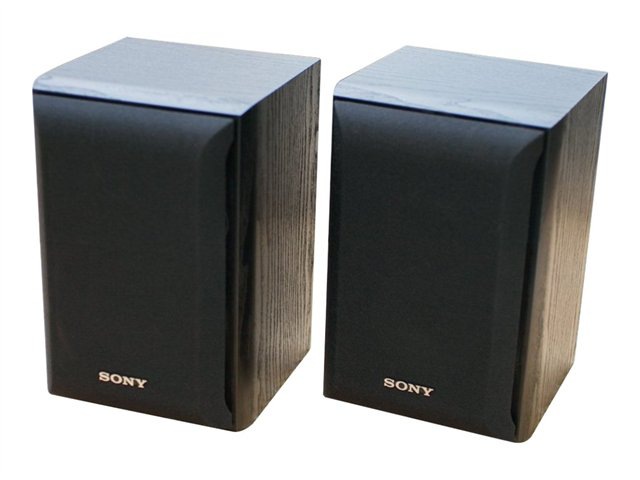 Sony SS B1000 - left / right channel speakers
