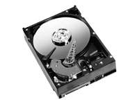 WD Caviar Blue WD5000AAKS - hard drive - 500 GB - SATA-300
