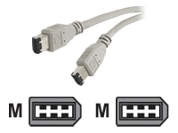 Cables to Go IEEE 1394 cable - 10 ft