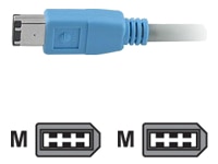 Gefen IEEE 1394 cable - 33 ft