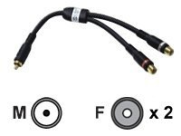 Cables To Go Velocity audio adapter - composite video / audio - 6 in