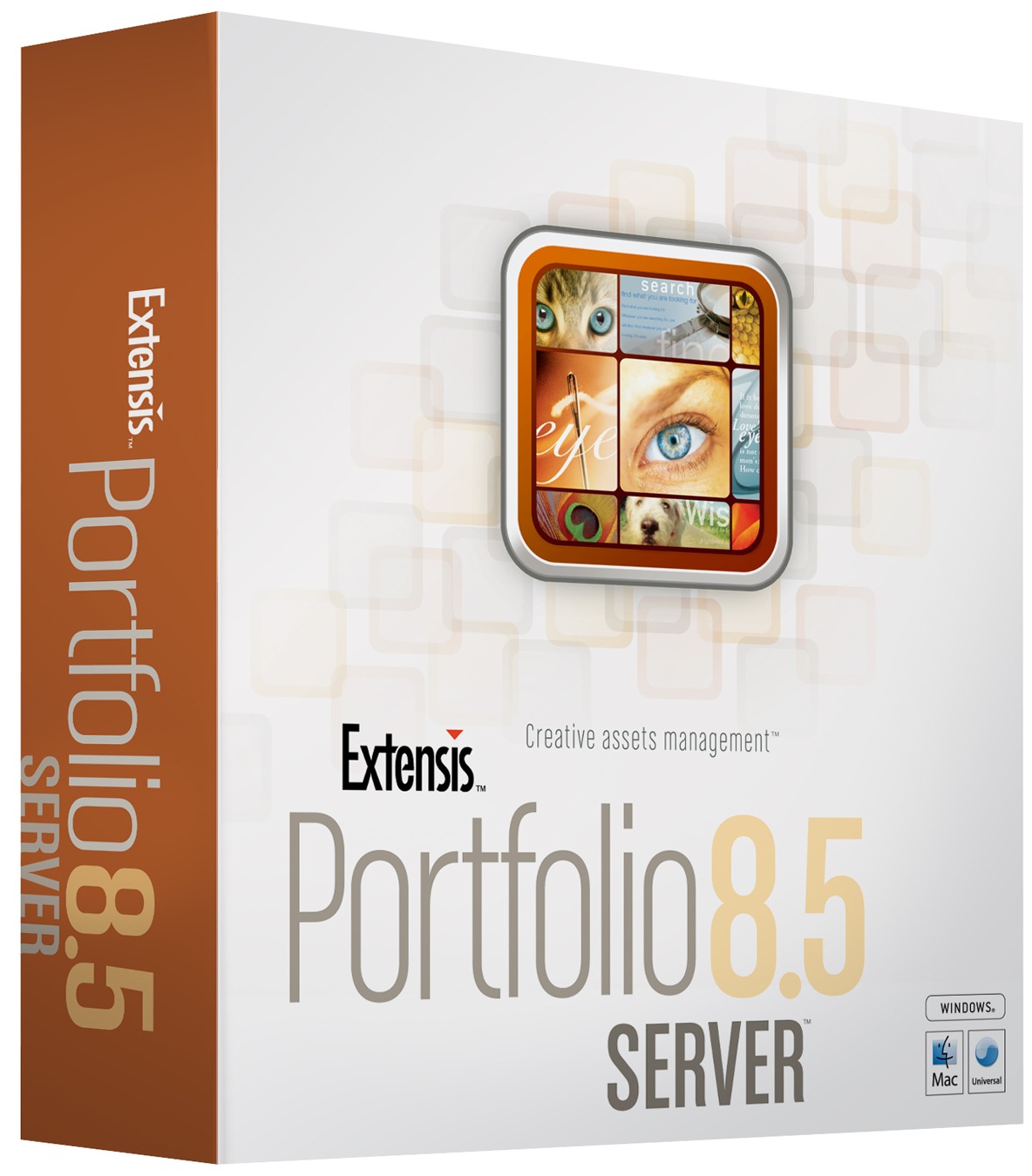 Portfolio Client - ( v. 8.5 ) - version upgrade license
