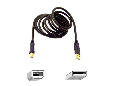 Belkin Gold Series USB cable - 1.8 m