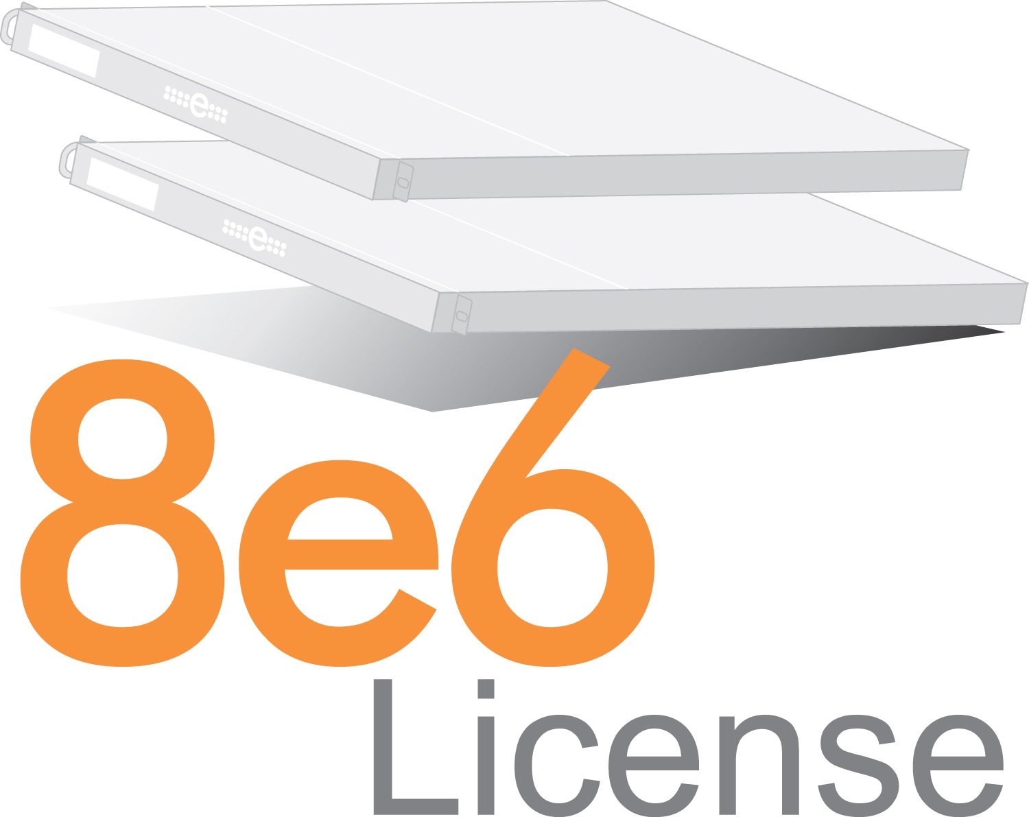 8e6 Professional Edition Subscription (12-Month up to 2500 Users)