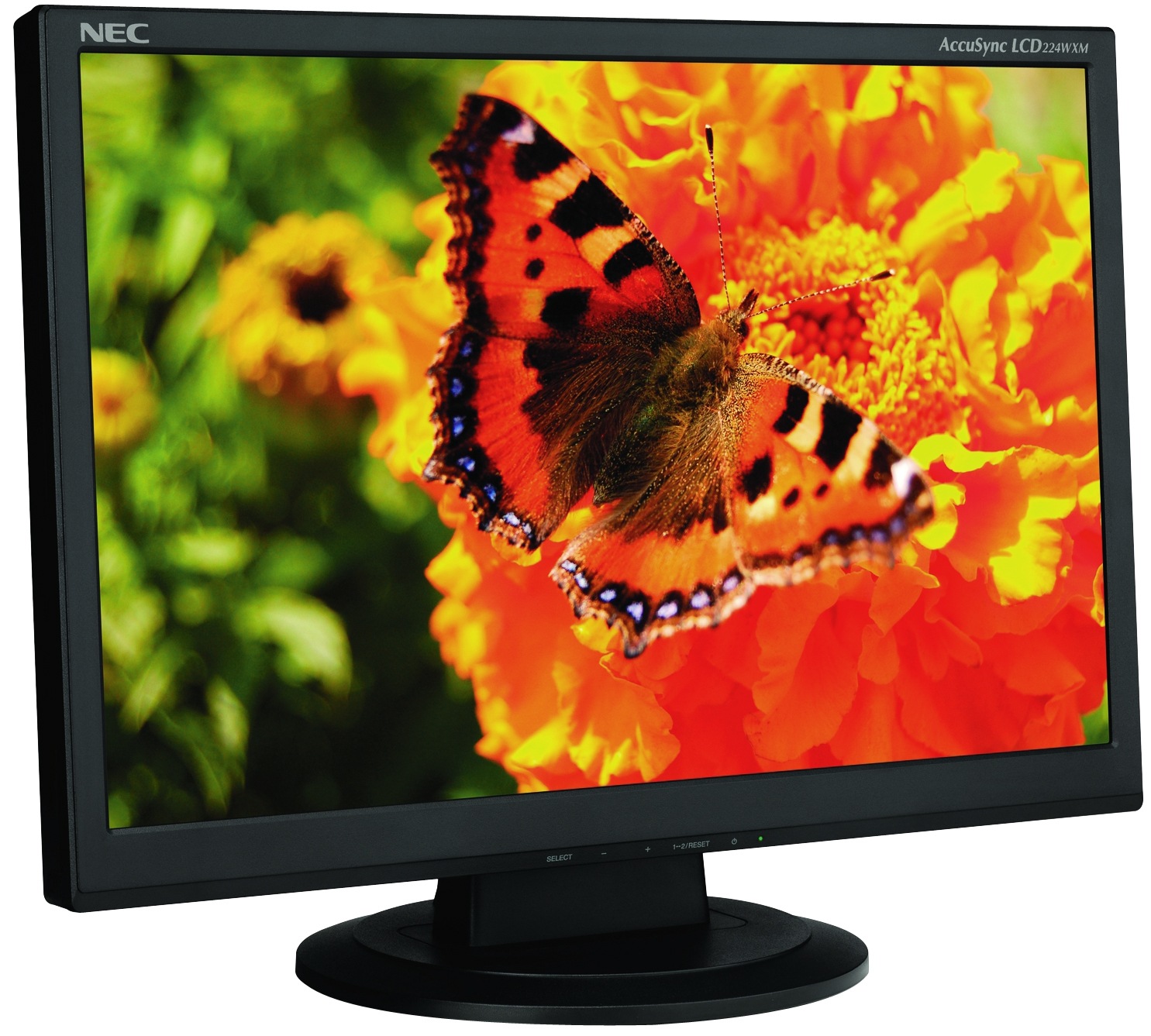 NEC AccuSync 224WXM