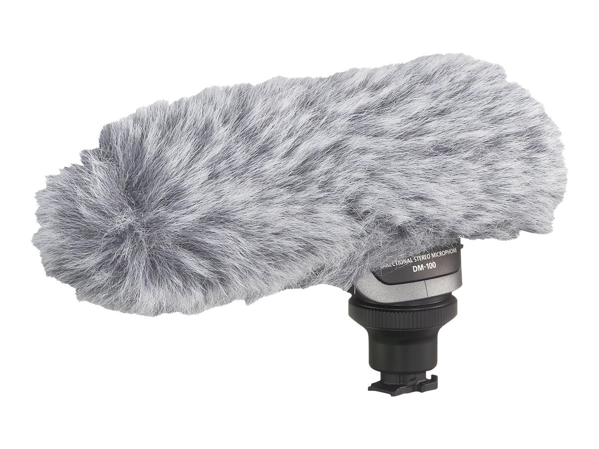Canon DM 100 - microphone