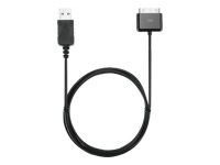 Kensington Power and Sync Cable for iPhone and iPod - digital player data