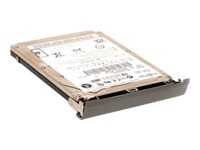 CMS Easy-Plug Easy-Go hard drive - 80 GB - SATA-150
