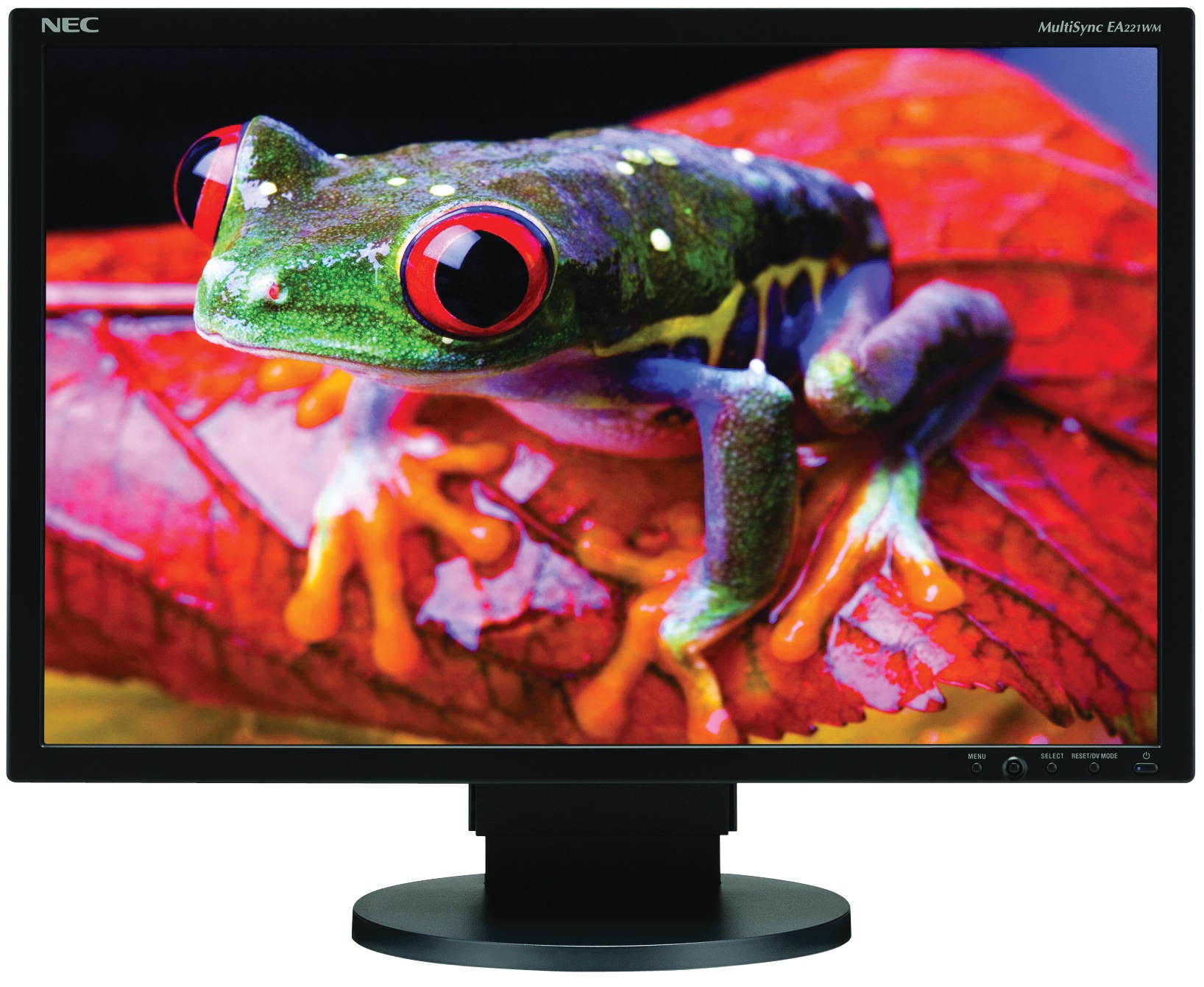 NEC EA221WM-BK 22" Wide LCD
