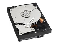 WD RE3 WD1002FBYS - hard drive - 1 TB - SATA-300