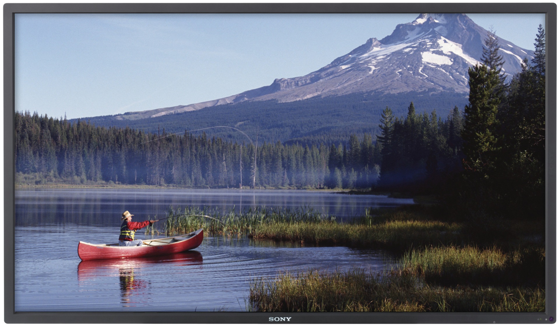 Sony Large Format Displays