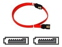Bytecc Serial ATA / SAS cable - 1.5 ft