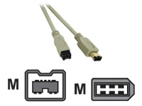 Cables to Go IEEE 1394 cable - 6.6 ft