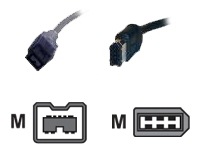WiebeTech Cable-11 - IEEE 1394 cable - 3.3 ft