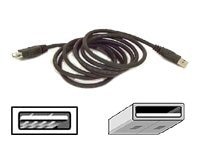 Belkin USB Extension Cable - USB extender - 3 m
