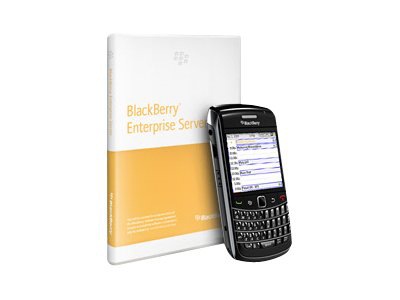 BlackBerry Enterprise Server for MS Exchange Server - ( v. 5.0 ) - license