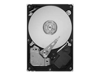 Seagate Barracuda LP ST32000542AS - hard drive - 2 TB - SATA-300