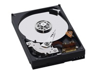 WD AV WD2500AVJB - hard drive - 250 GB - ATA-100