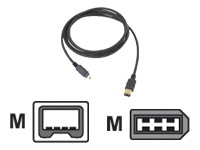 SIIG IEEE 1394 cable - 16.4 ft