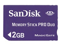 SanDisk flash memory card - 2 GB - MS PRO DUO
