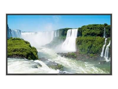 NEC MultiSync P401 Large-Format LCD Monitor