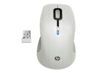 HP Wireless Comfort Mouse