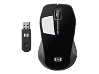 HP Wireless Comfort Mouse