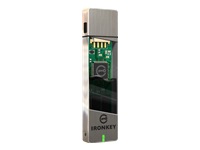 IronKey Basic S200 