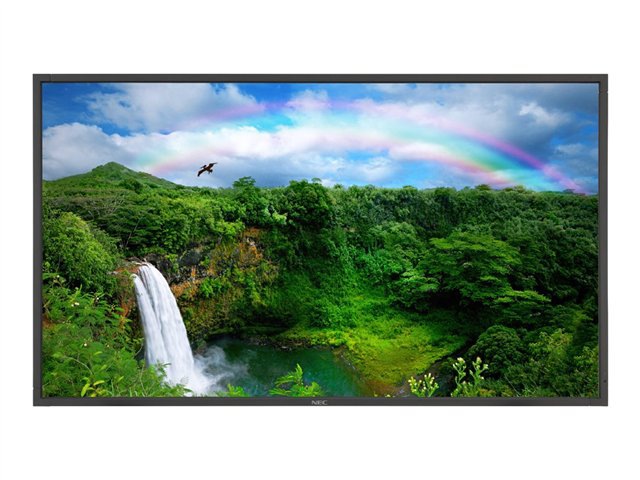 NEC MultiSync P461 Large-Format LCD Monitor