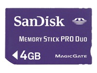 SanDisk flash memory card - 4 GB - MS PRO DUO