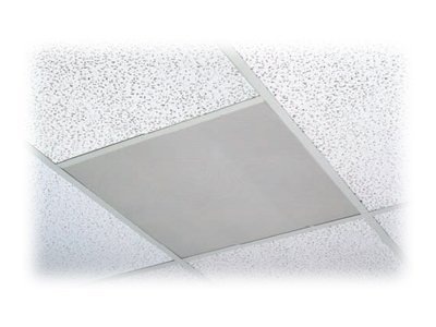 Bogen ACD2X2 - speaker