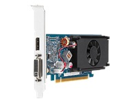 NVIDIA GeForce 310 DP Video Card