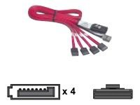Promise Serial ATA / SAS cable - 50 cm