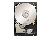 Constellation ES ST31000524NS - hard drive - 1 TB - SATA-300