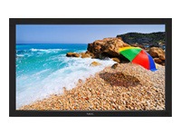 NEC MultiSync V321 Large-Format LCD Monitor