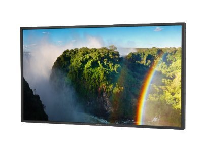 NEC MultiSync P551-AVT Large-Format LCD Monitor