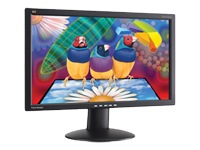 ViewSonic VA1913w LCD Monitor