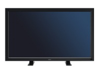 NEC MultiSync V421 Large-Format LCD Monitor