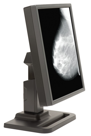 E5 Single Grayscale Diagnostic Display Medical Monitor, No Video Card
