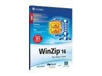 WinZip Standard - ( v. 16 ) - license