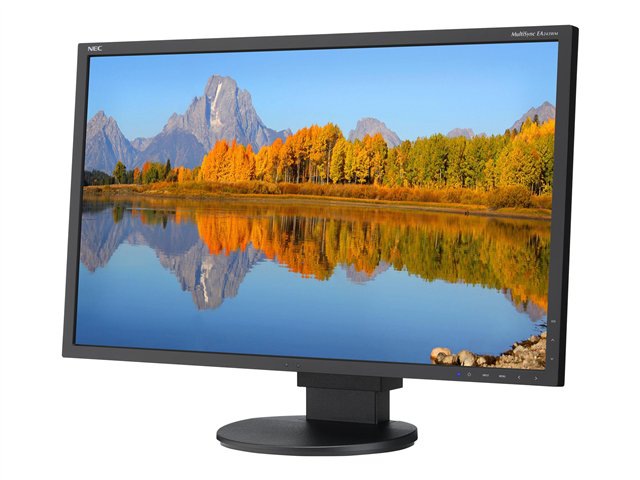 MultiSync EA243WM-BK 24" LED