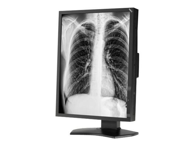 NEC MD211G3 - LCD monitor - 3MP - grayscale - 21.3"
