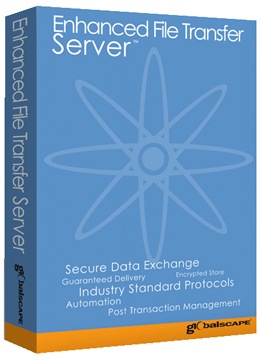GlobalSCAPE Standard Support technical support - 1 year - for GlobalScape E