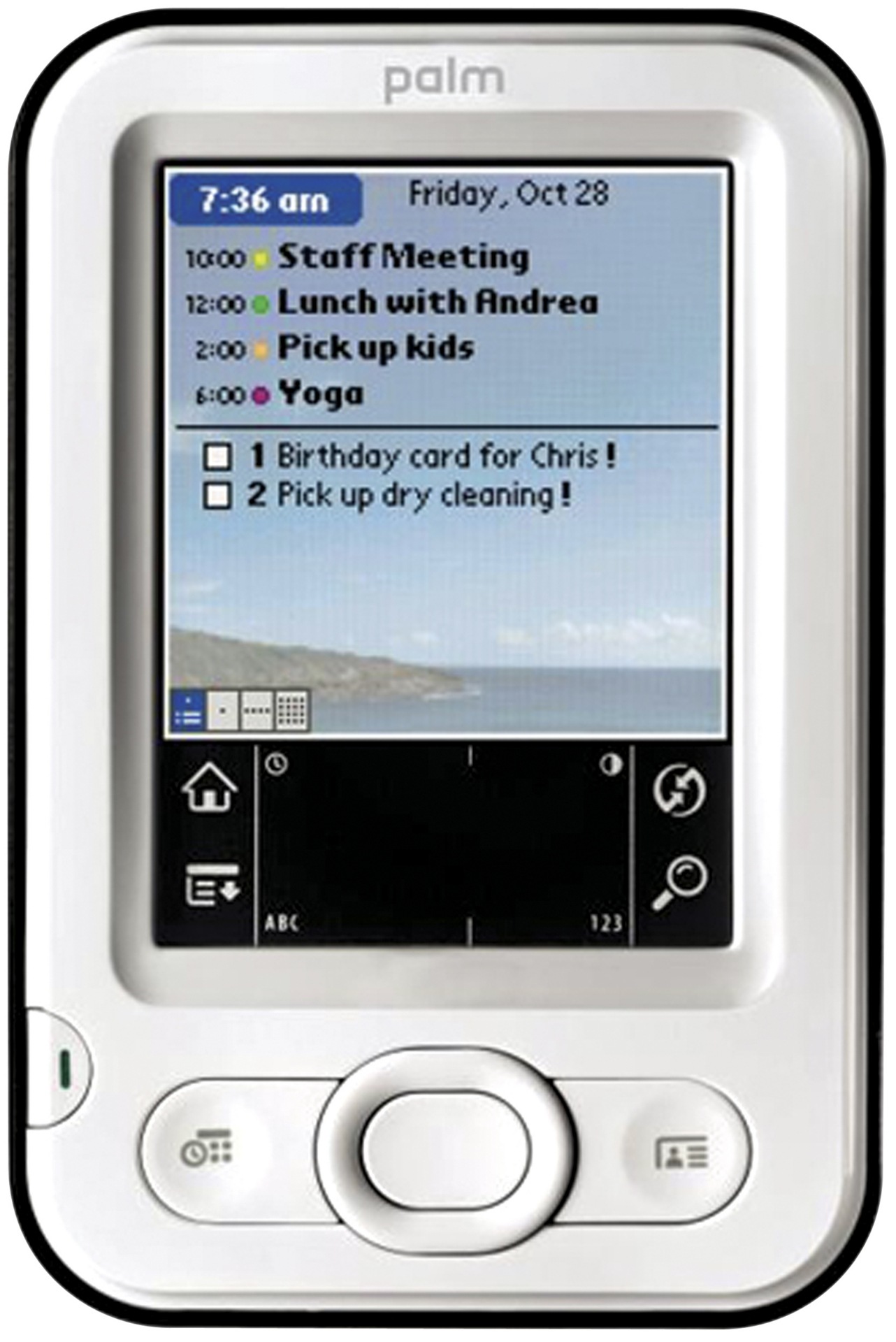 Palm Handheld Devices