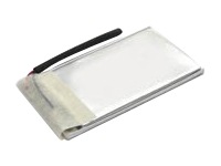 Lenmar NoMEM PDAPTE - handheld battery - Li-pol - 850 mAh