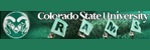 Colorado State University