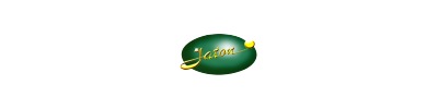Jaton Corporation